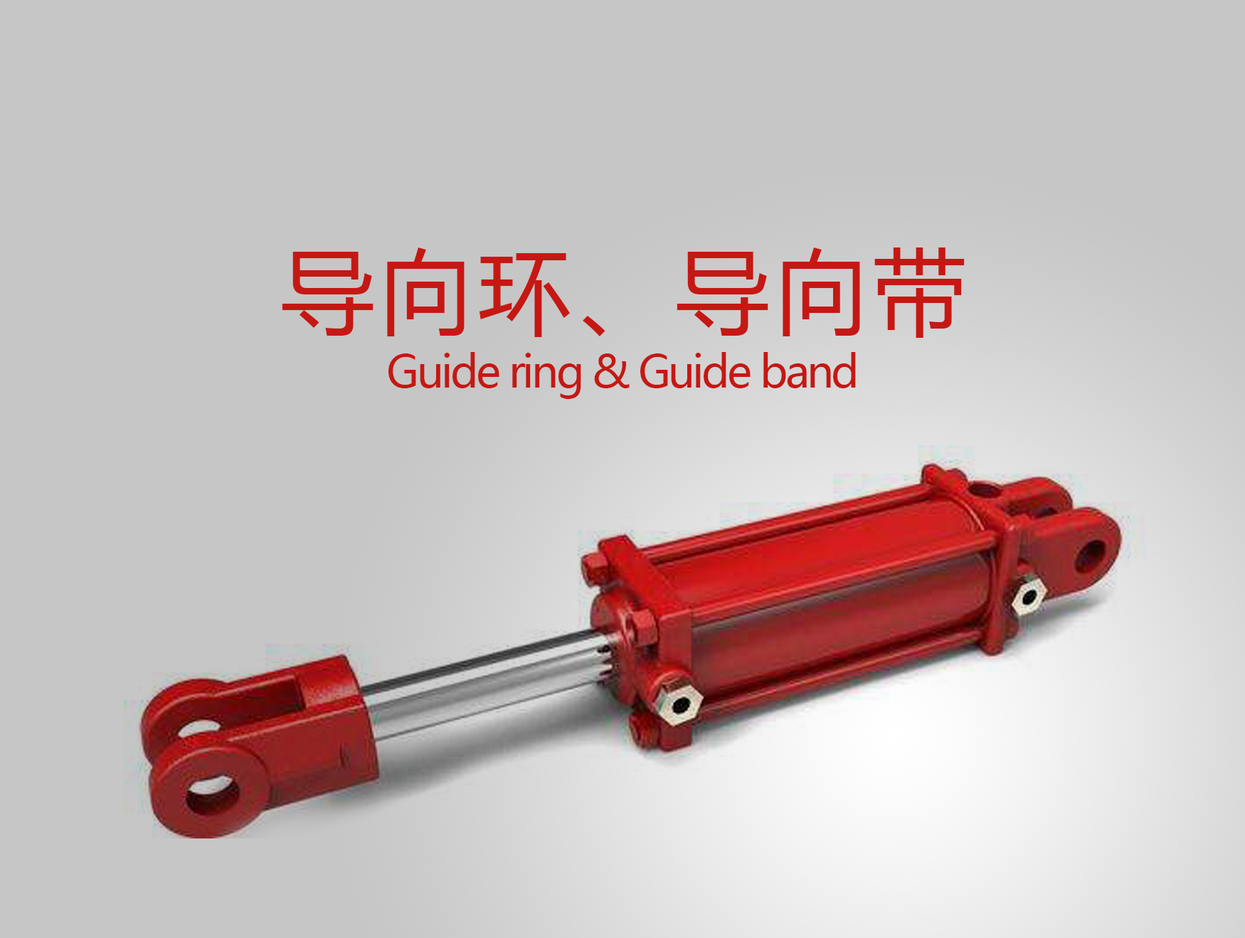 導(dǎo)向環(huán)、導(dǎo)向帶