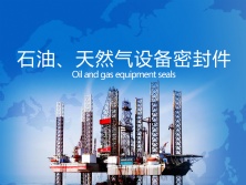 石油、天然氣行業(yè)密封件