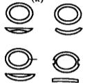 3密封環(huán)變形格蘭螺栓孔數(shù)或夾持得不均勻無孔一孔二孔四孔