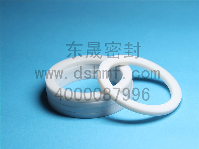 輔助密封件產(chǎn)品，擋圈
