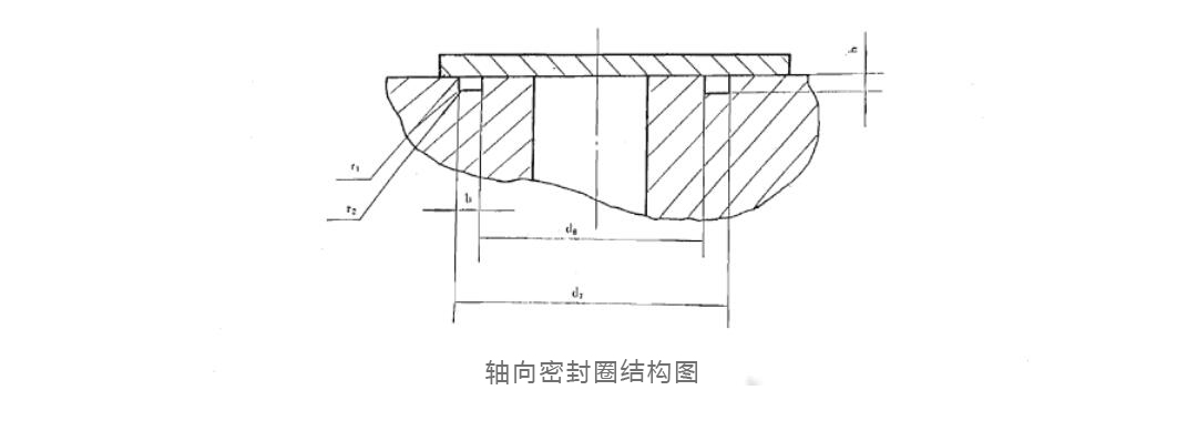 軸向密封圈結構圖