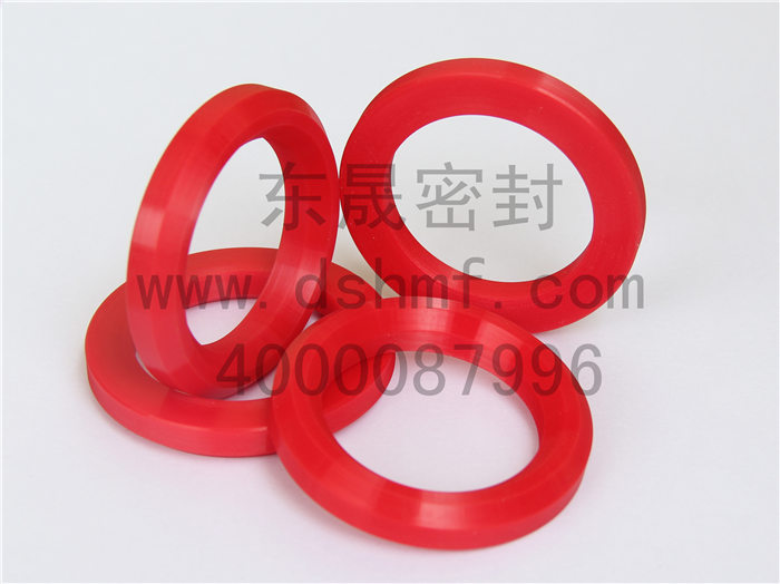 V型圈，密封件產(chǎn)品