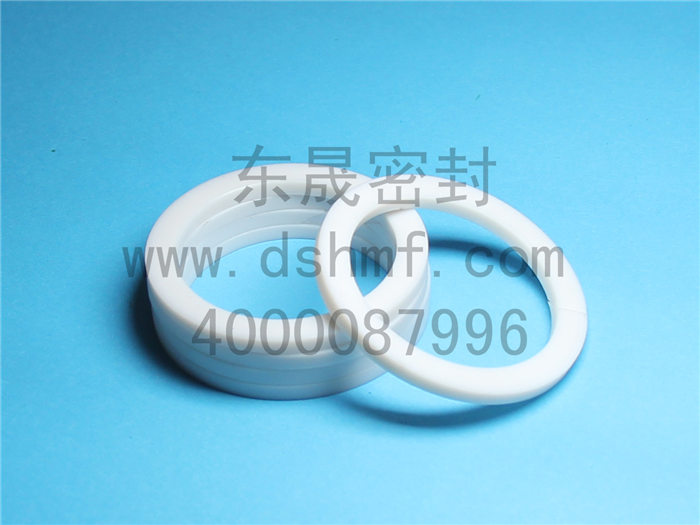 PTFE，墊片，密封件產(chǎn)品