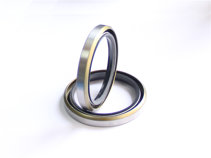 油封，浮動(dòng)，密封件，產(chǎn)品