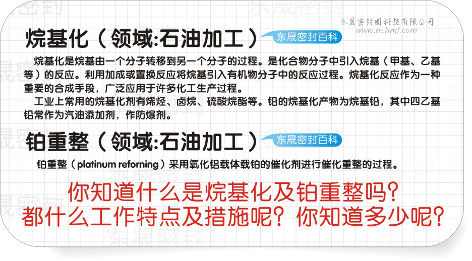 烷基化及鉑重整的油封機(jī)械密封密封百科