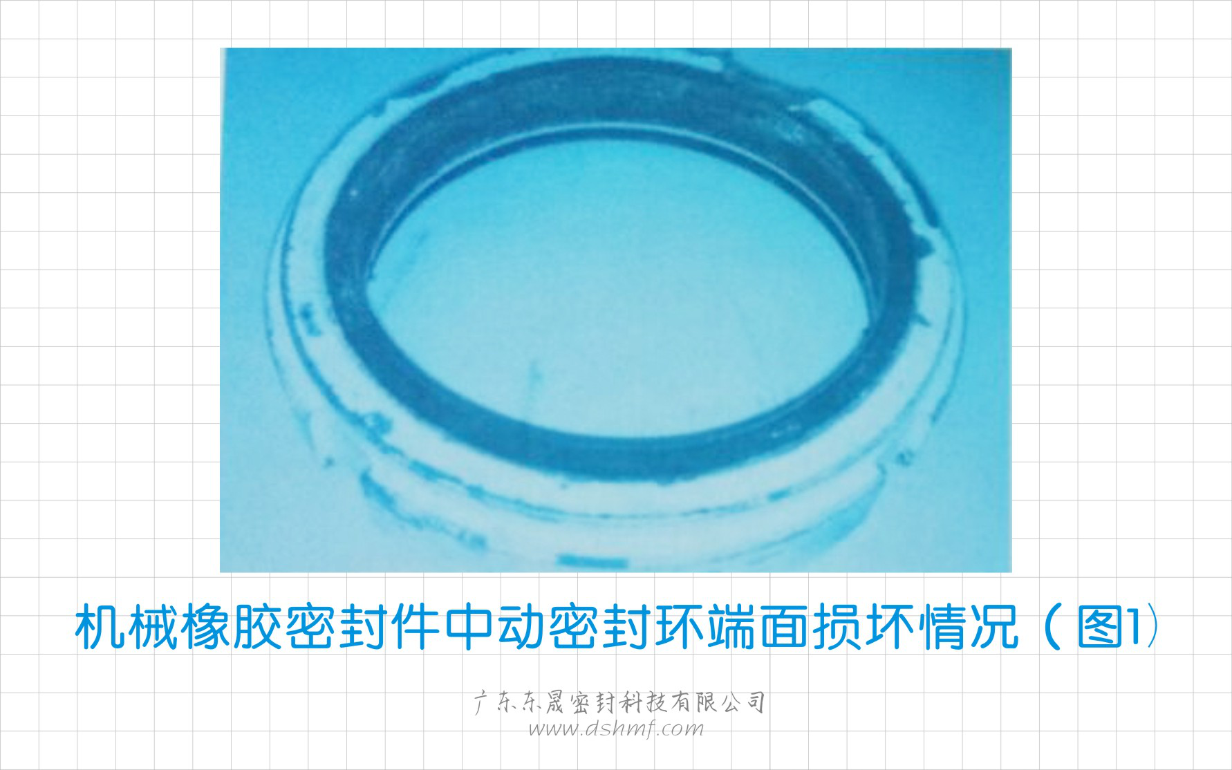 機械橡膠密封環(huán)中動密封環(huán)端面損壞情況（圖1）