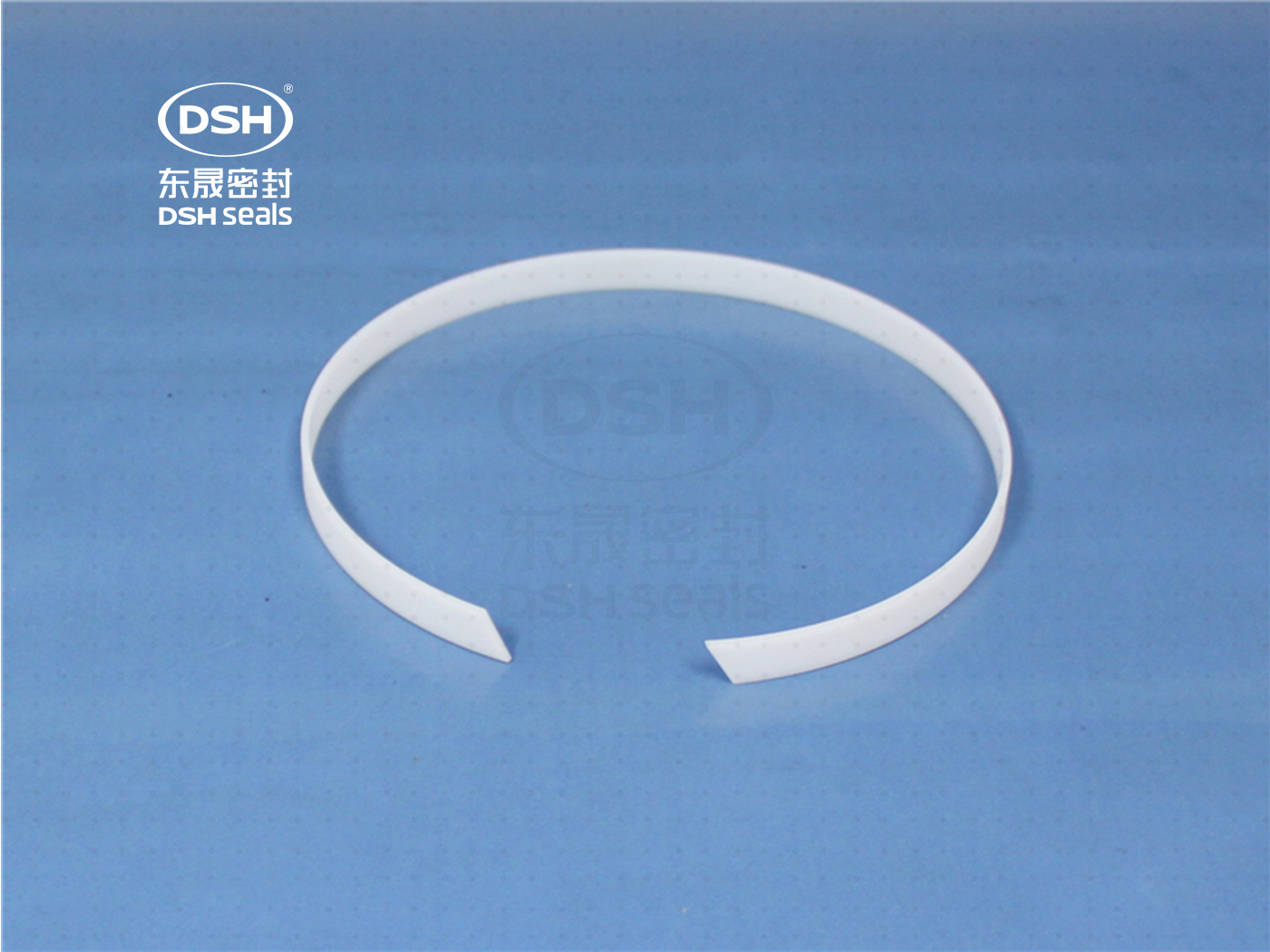 食品級密封件,導向環(huán)DST