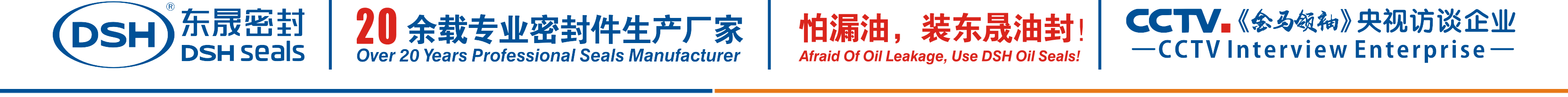 怕漏油，裝東晟油封！