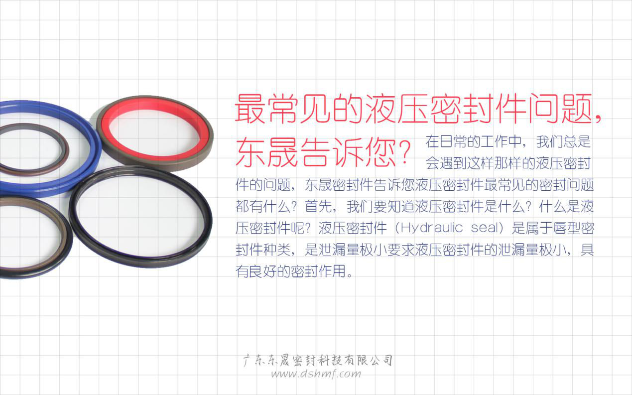 液壓密封圈，裝DSH密封圈？