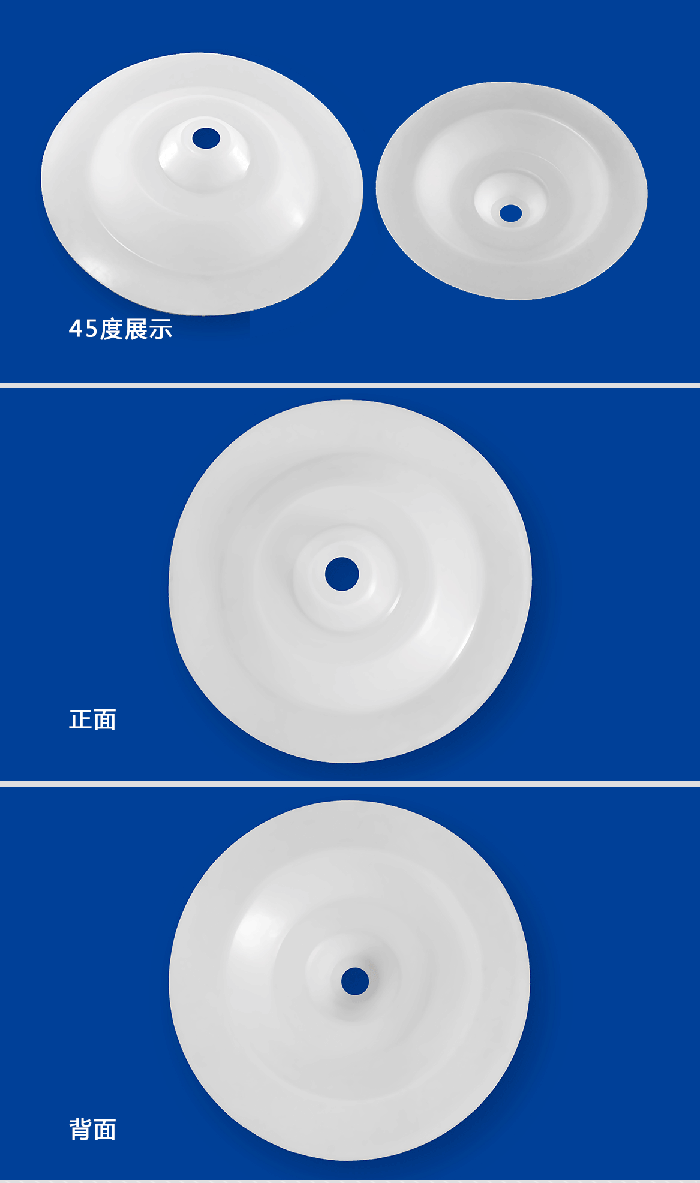 1-計量泵膜片3-產(chǎn)品詳情頁-模板_01米頓羅進(jìn)口PTFE四氟鐵氟龍計量泵膜片隔膜密封件 (3)