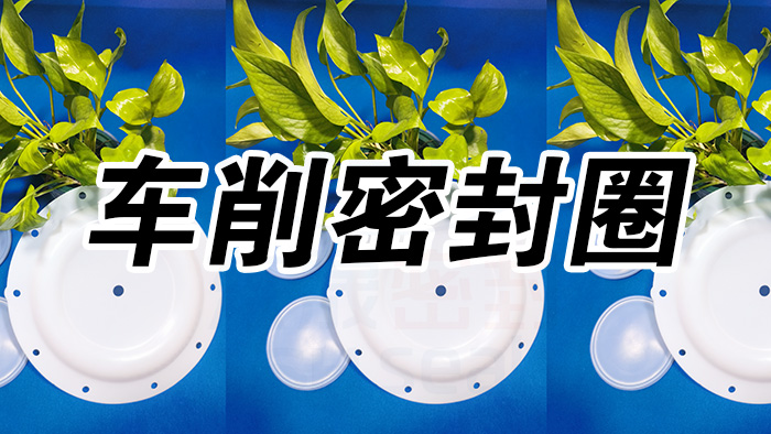 2車削密封圈，氣動隔膜泵膜片密封件