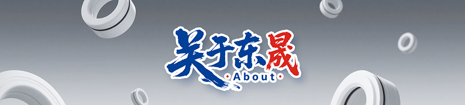 企業(yè)文化 - 企業(yè)文化,質(zhì)量方針,東晟密封件公司,愿景,價(jià)值觀,使命