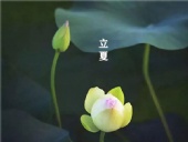 立夏已至，萬物向陽；